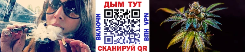 Бошки марихуана ГИДРОПОН  Щёкино 
